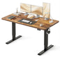Standing Desk, 55 x 24 Inches Electric Height Adjustable Computer Desk, Sit Stand up Home Office Desk with Memory, Customized
